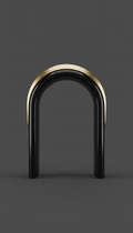 Arched obsidian vault with gold fin